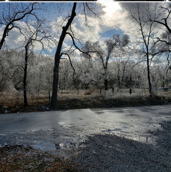 825K,  LIKE 4 BLUES DROPS!  Xo Carol PLS SHARE & ALWAYS GAIN NEW FOLLOWERS! Xo - Picture 11 of 16